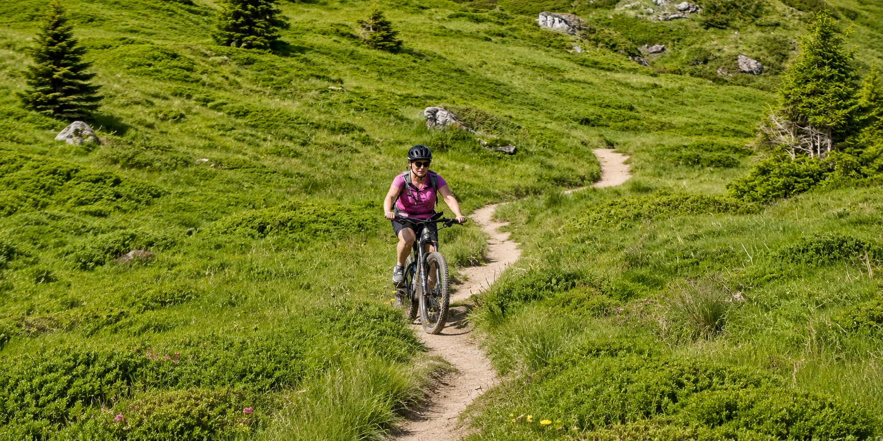 MTB & bike park