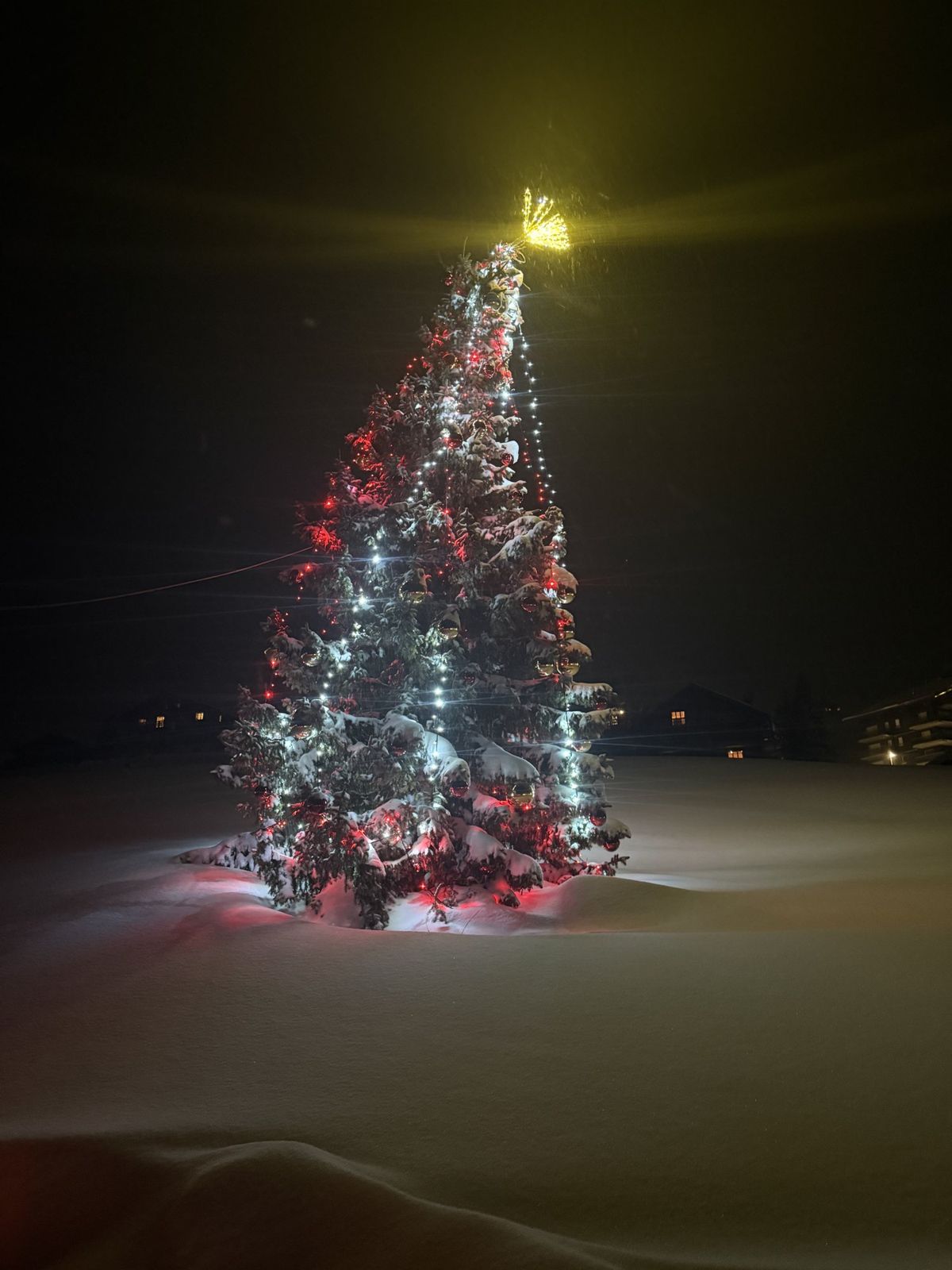 Le sapin de Noël illuminé